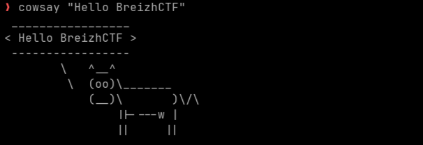 BreizhCTF 2k25: Pwn Otis_10 writeup